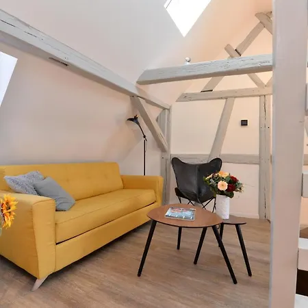 Daire La Petite Terrasse Sur Les Toits Colmar