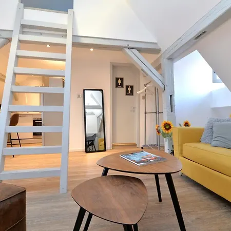 La Petite Terrasse Sur Les Toits * كولمار