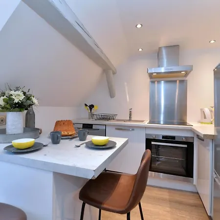 Daire La Petite Terrasse Sur Les Toits Colmar