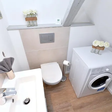 Daire La Petite Terrasse Sur Les Toits Colmar