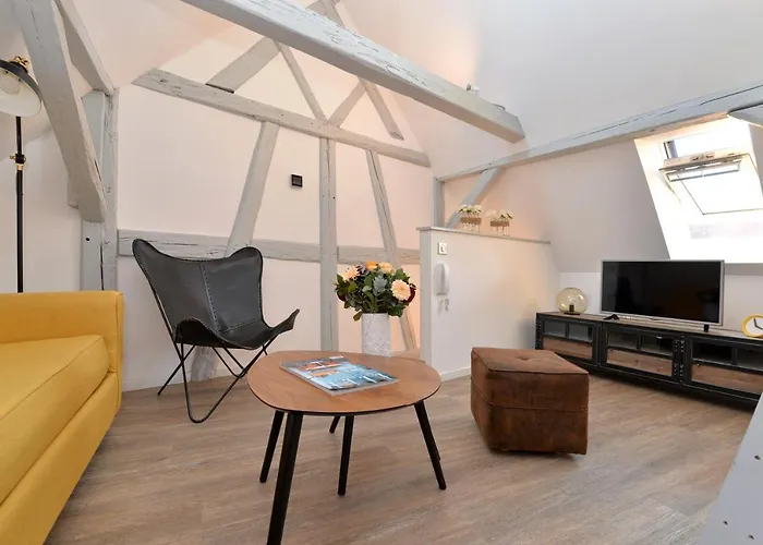 La Petite Terrasse Sur Les Toits Daire *