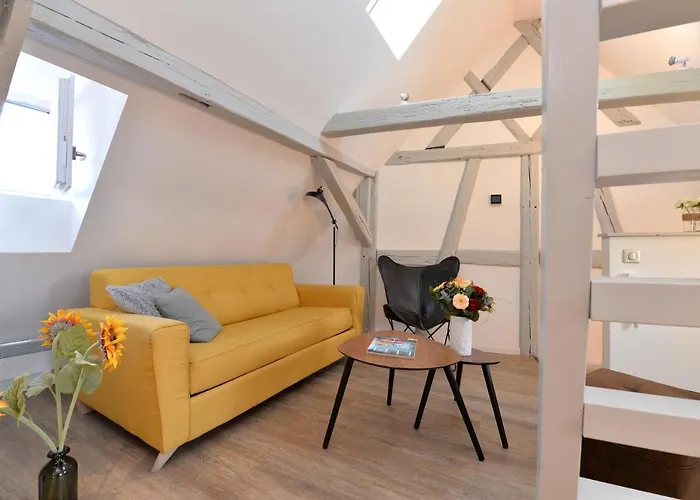 شقة La Petite Terrasse Sur Les Toits كولمار